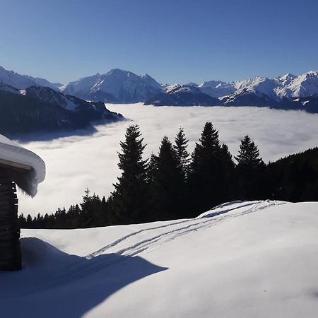 Haus Viktoria Apartment Mayrhofen Luaran gambar